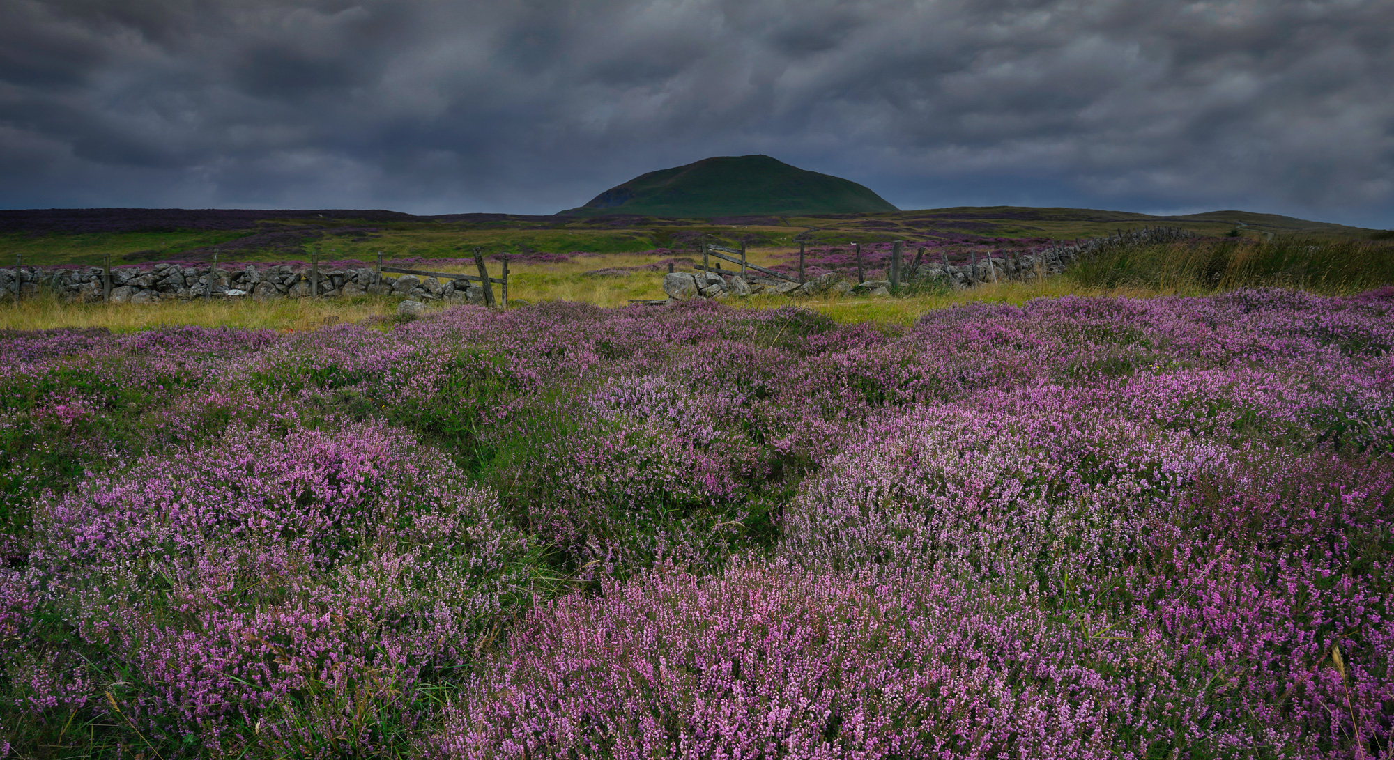 Leslie House A Palace within Fife